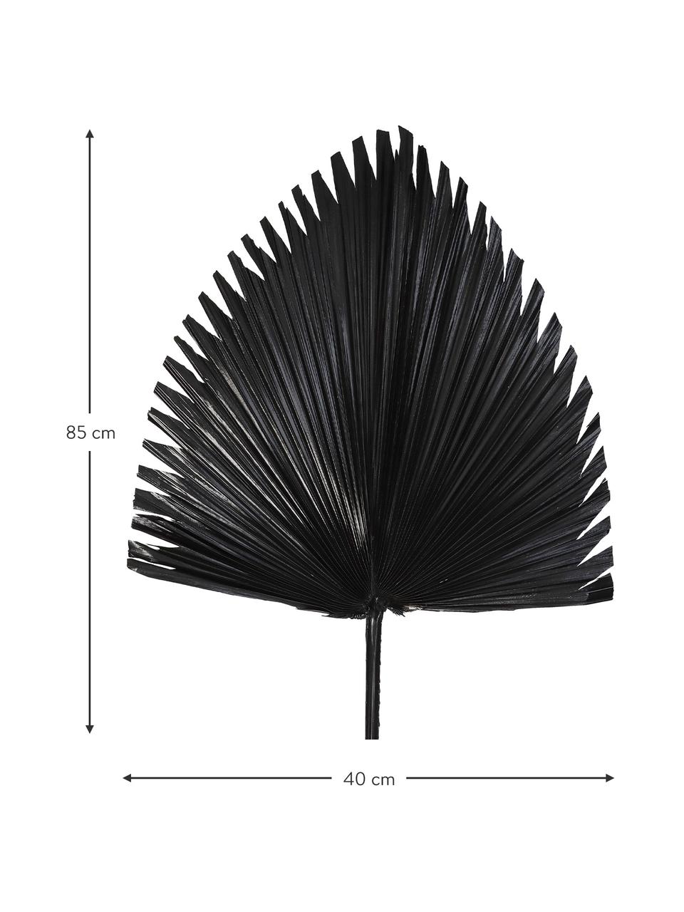 Fleur artificielle Palm Leaf, Polyester, Noir, larg. 40 x haut. 85 cm