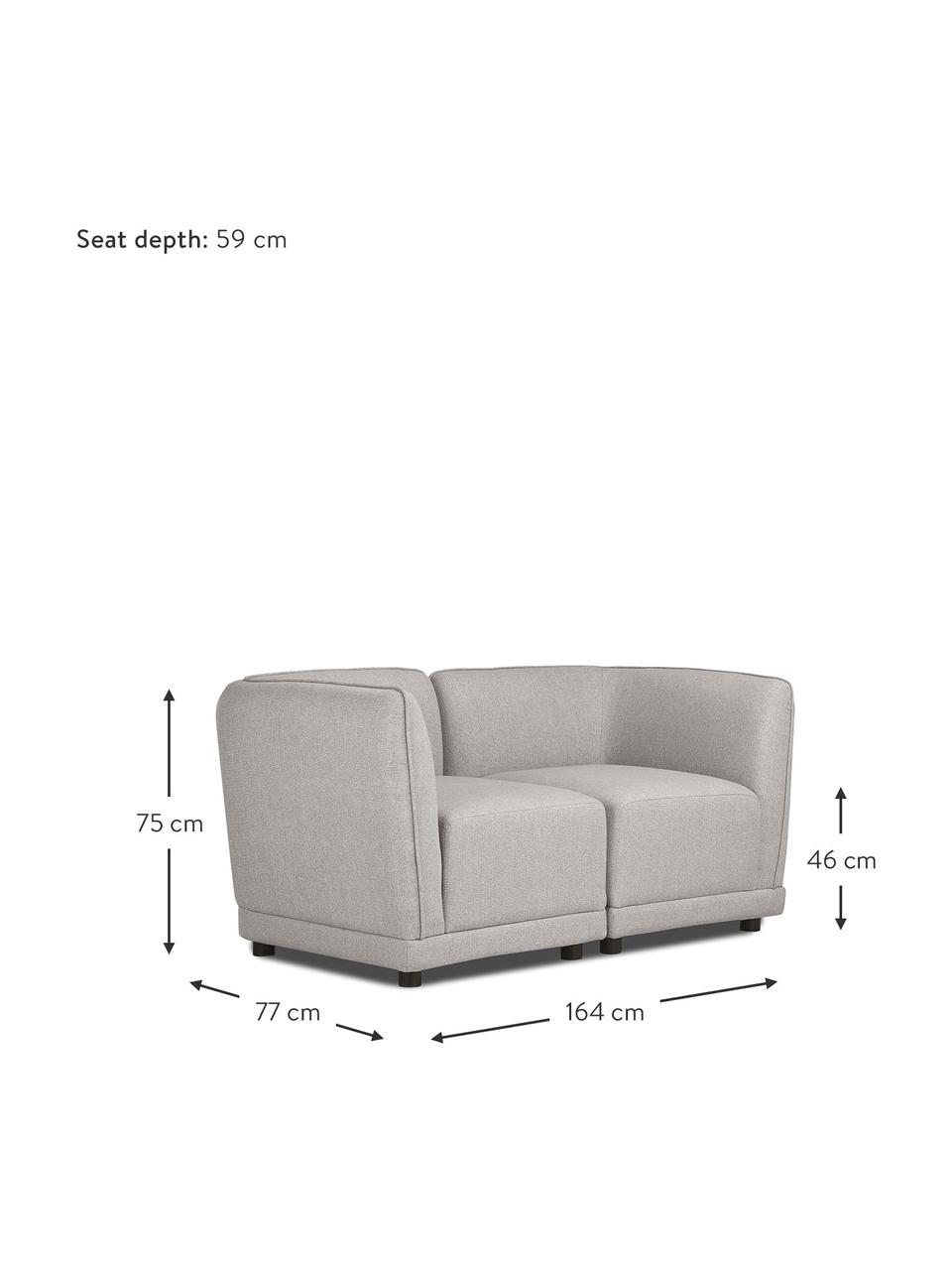 Sofa modułowa Ari (2-osobowa), Tapicerka: 100% poliester Dzięki tka, Stelaż: lite drewno, sklejka, Nogi: tworzywo sztuczne, Szary, S 164 x G 77 cm