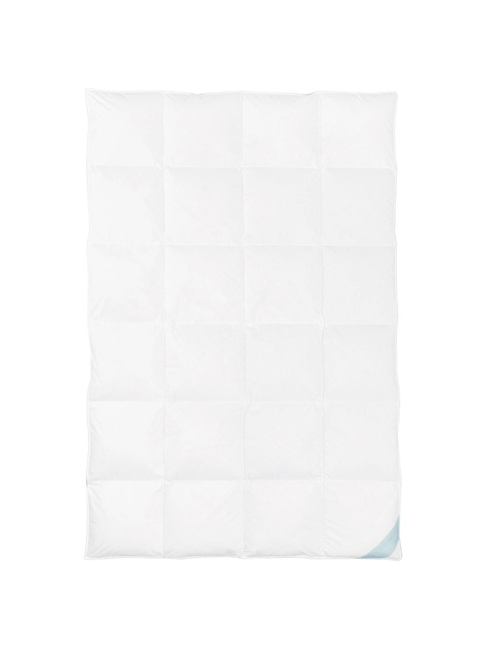 Couette matelassée en duvet Comfort, extra chaude, Extra chaude, larg. 200 x long. 200 cm