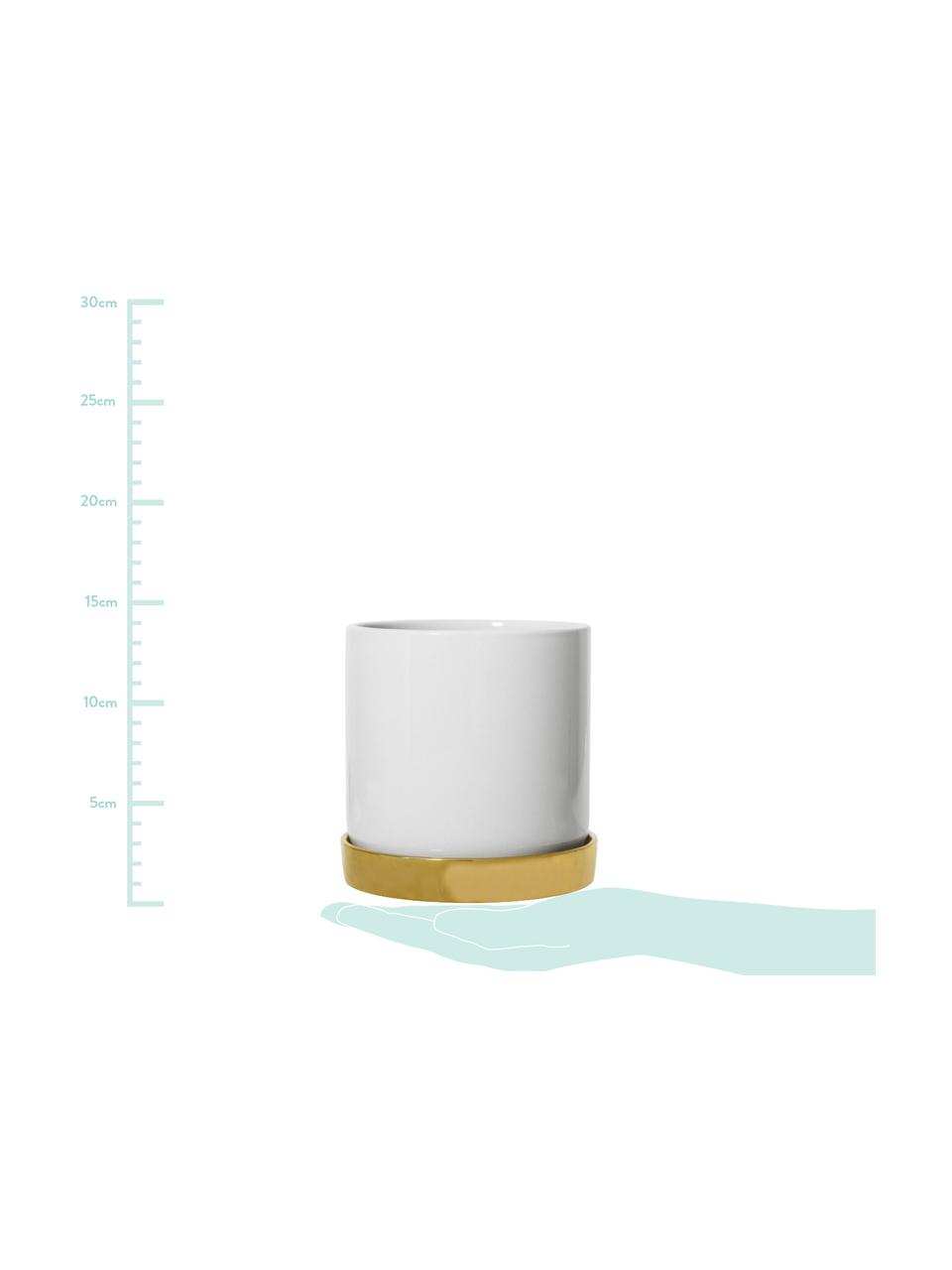 Květináč Elin, Kamenina, Květináč: matná bílá Podmiska: zlatá, Ø 14 cm, V 14 cm