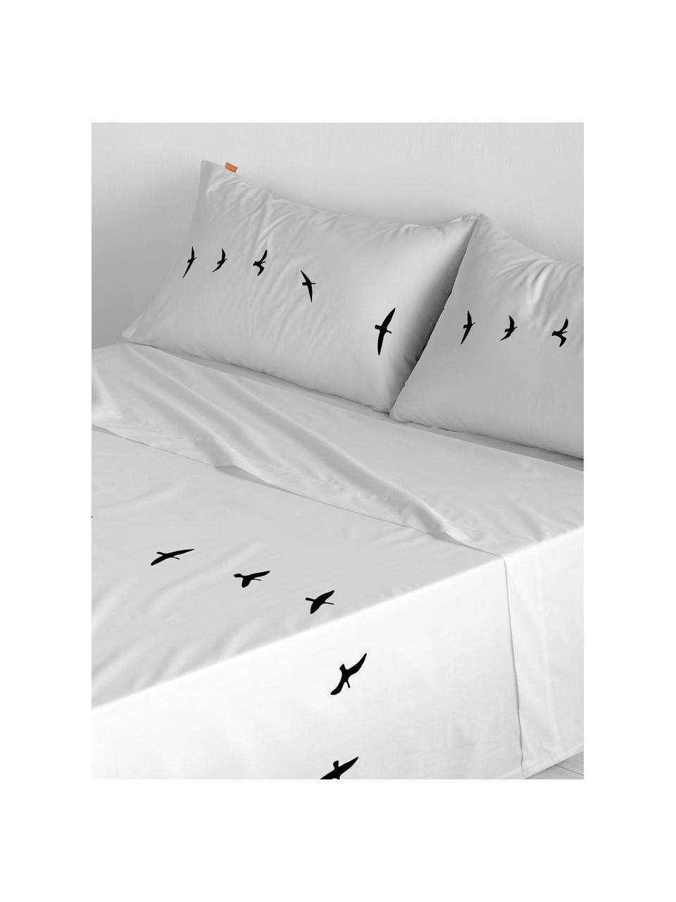 Drap plat en coton Trip, Blanc, noir, 240 x 270 cm