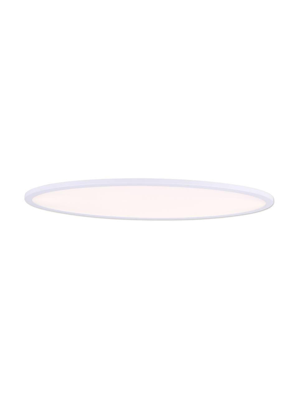 Ovale dimbare LED-plafondlamp Sorrent, Diffuser: kunststof, Wit, 60 x 6 cm