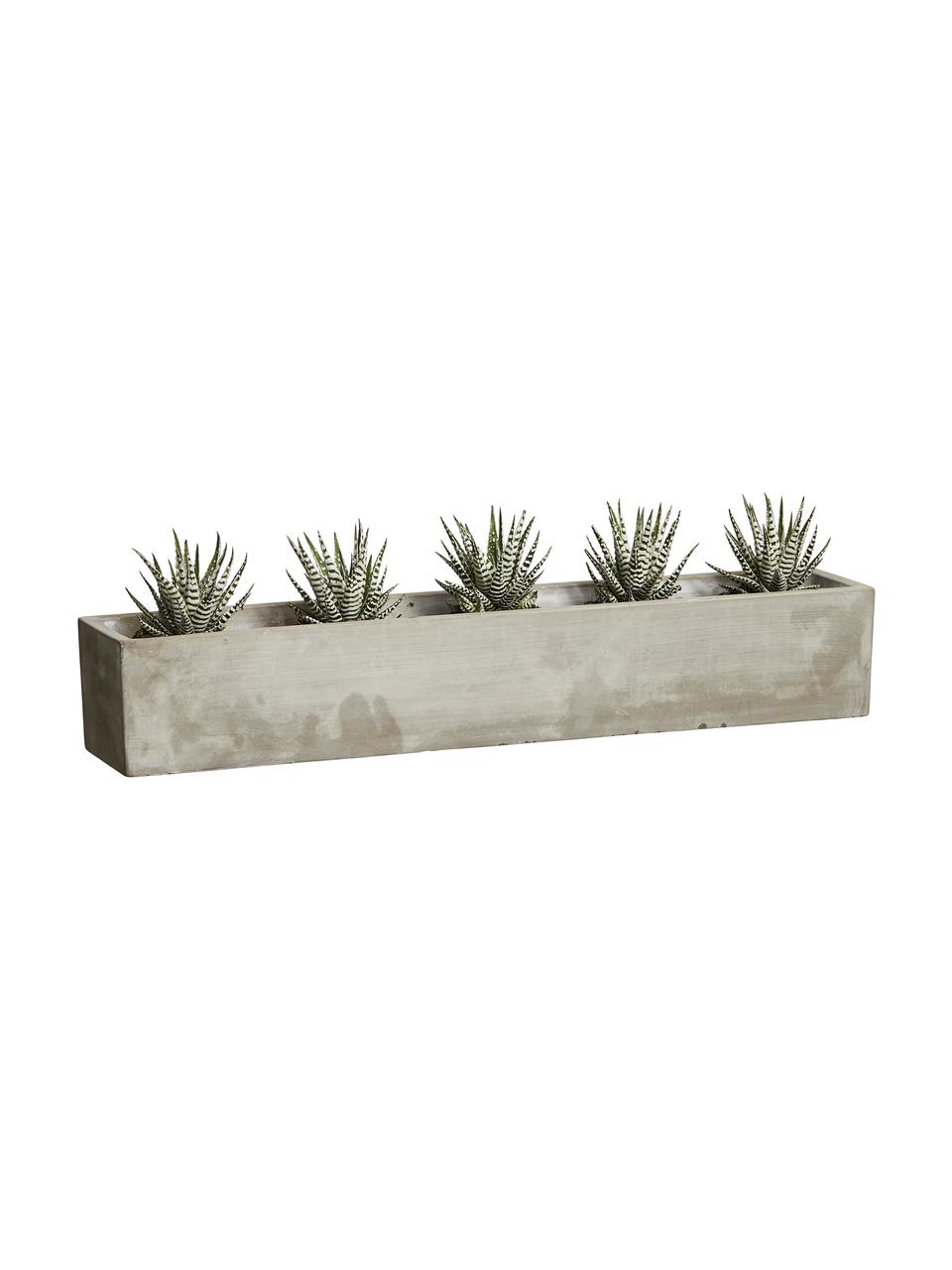 XL plantenpot Siri, Beton, Grijs, B 59 cm x H 10 cm