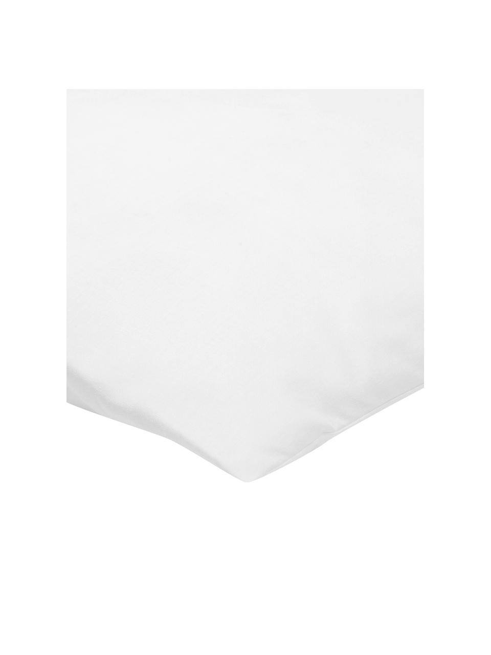 Kissen-Inlett Sia, 40x40, Microfaser-Füllung, Hülle: 100% Baumwolle, Weiß, B 40 x L 40 cm