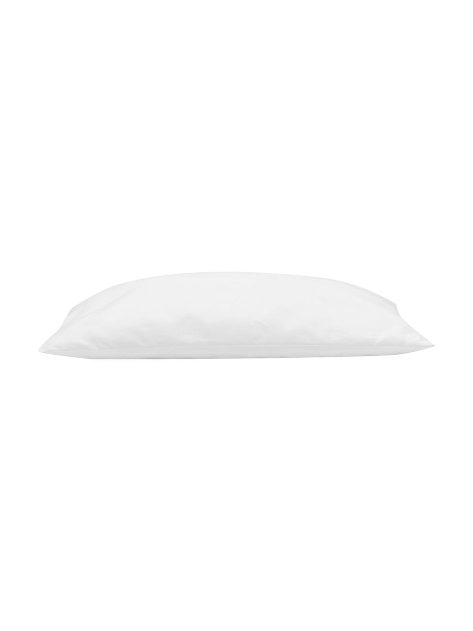 Garnissage de coussin 40x40 en microfibre Sia, Blanc, larg. 40 x long. 40 cm