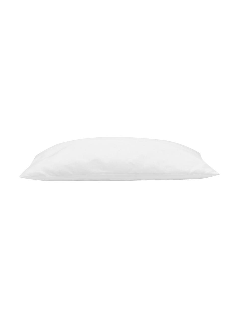 Imbottitura cuscino in microfibra Sia, 40x40, Bianco, Larg. 40 x Lung. 40 cm