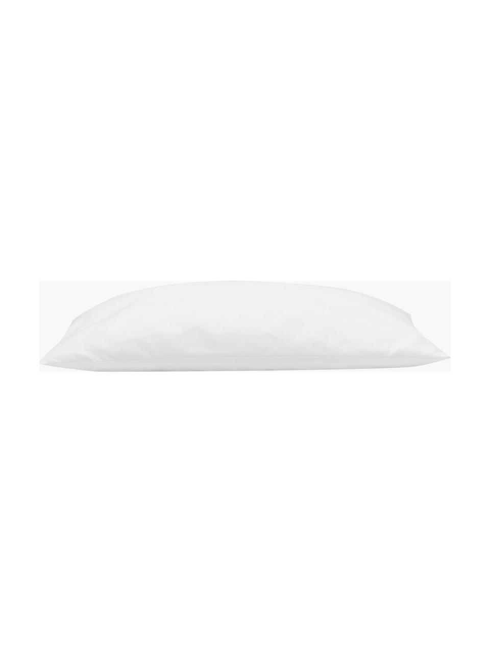 Garnissage de coussin 40x40 en microfibre Sia, Blanc, larg. 40 x long. 40 cm