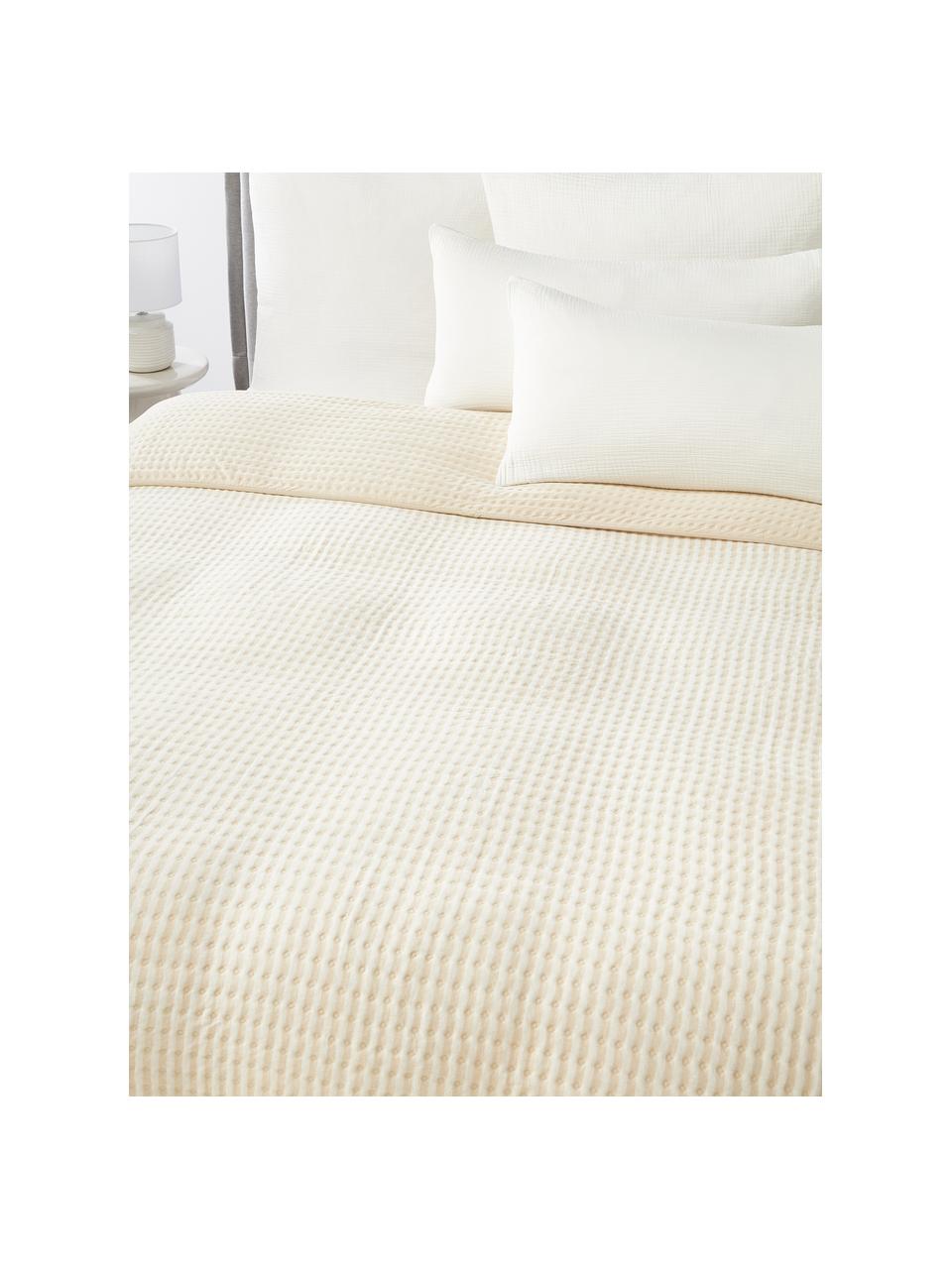 Colcha de algodón acolchada Nivia, Funda: 100% algodón, Blanco Off White, beige claro, An 180 x L 250 cm (para camas de 140 x 200 cm)