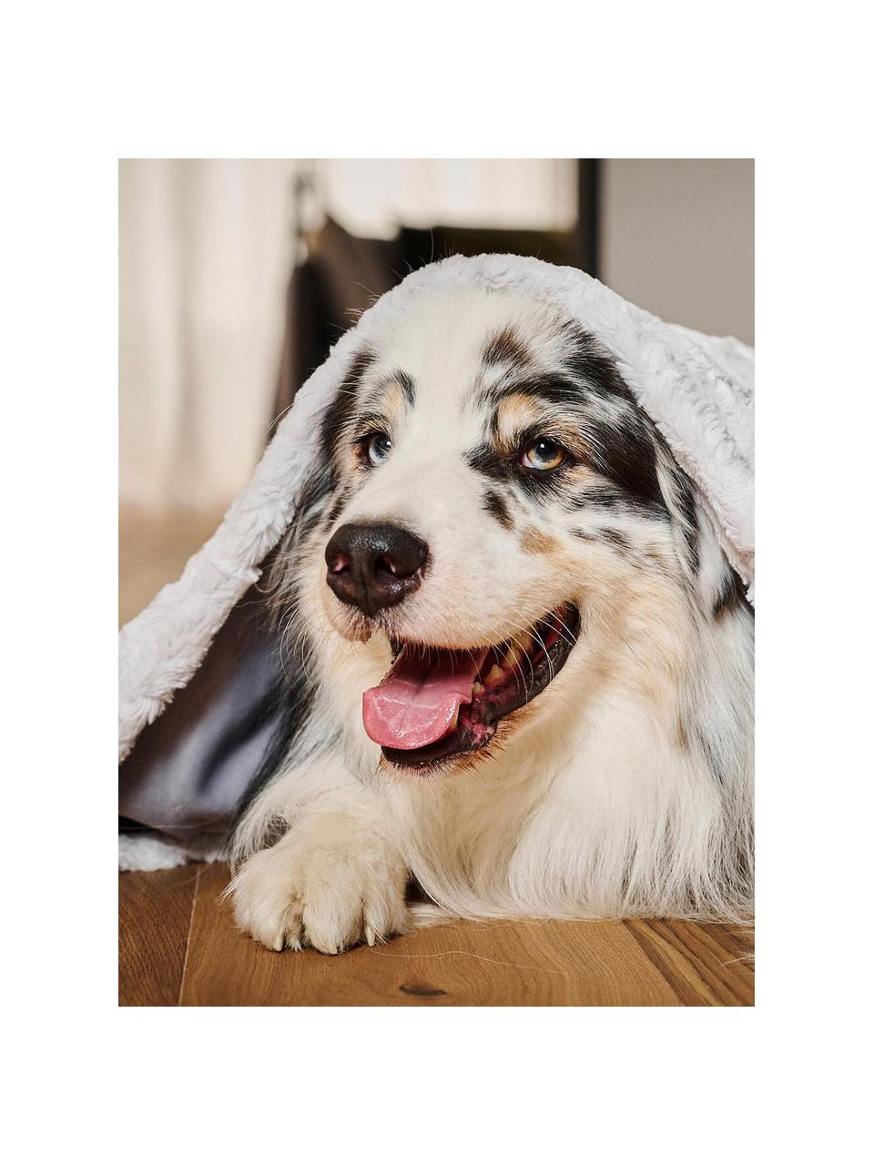 Manta acolchada para mascotas Cozy, tamaños diferentes, Terciopelo (100% poliéster), Gris claro, azul claro, An 50 x L 70 cm