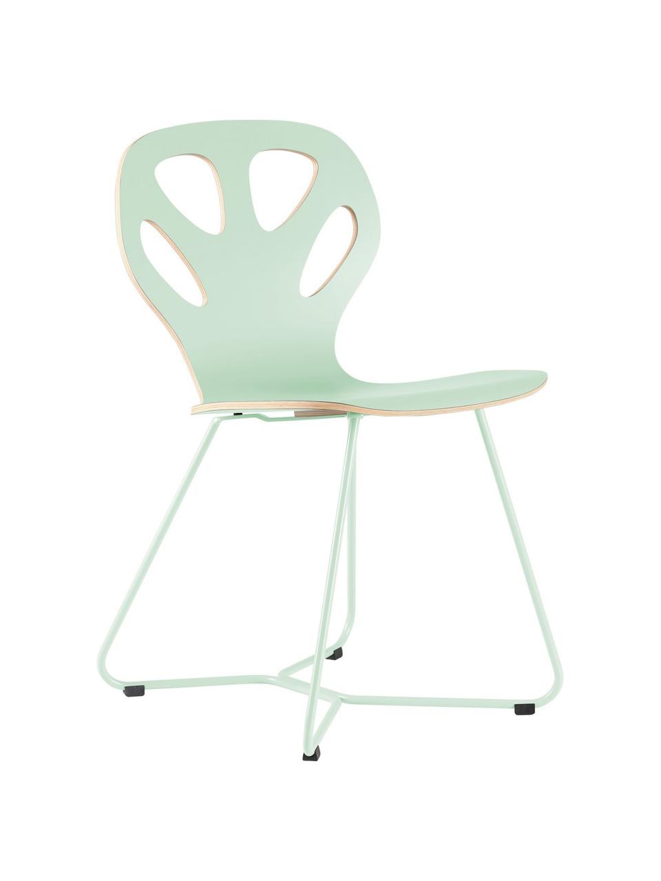 Silla de madera Maple, Asiento: madera contrachapada lami, Estructura: acero con pintura en polv, Verde menta, An 51 cm x F 49 cm