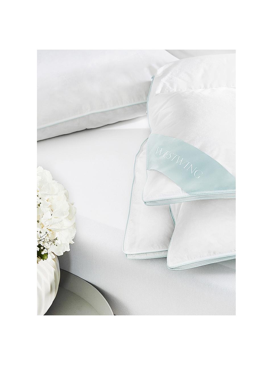 Couette pur duvet Premium, extra chaude, Extra chaude, larg. 200 x long. 200 cm