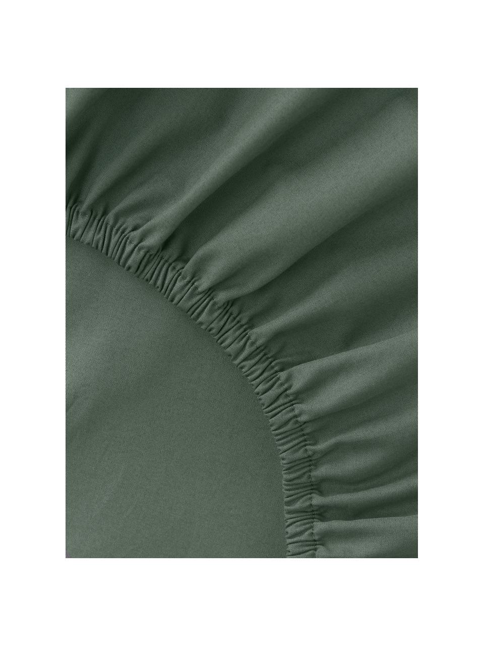 Drap-housse en percale de coton Elsie, Vert foncé, larg. 180 x long. 200 cm, haut. 25 cm