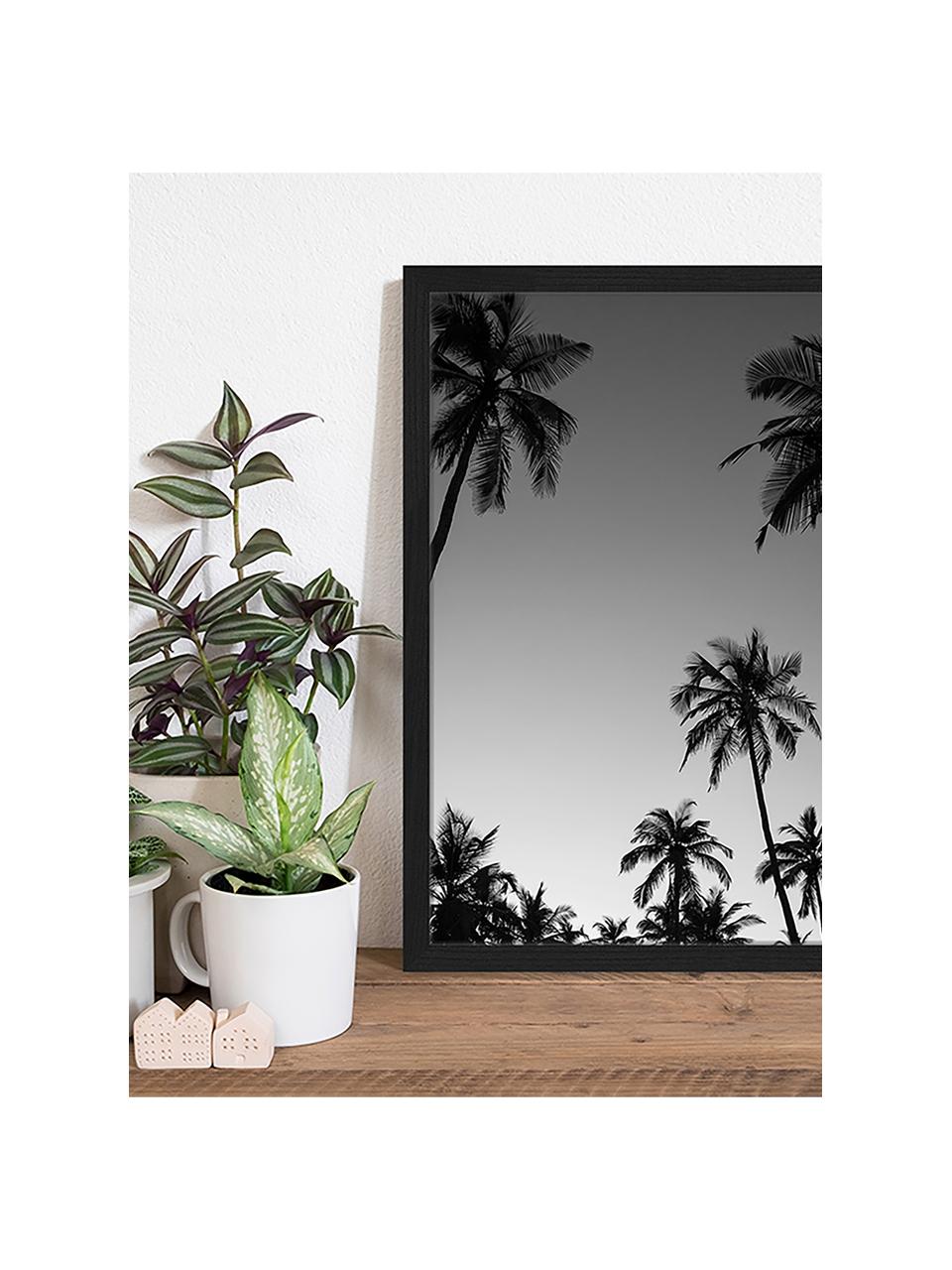 Ingelijste digitale print Palm Trees Silhouette At The Sunset, Afbeelding: digitale print op papier,, Lijst: gelakt hout, Zwart, wit, 43 x 53 cm