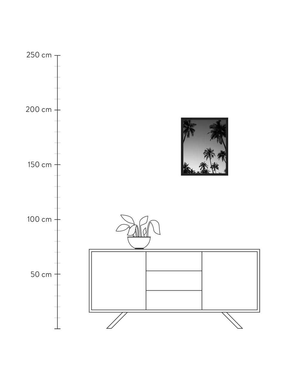 Stampa digitale incorniciata Palm Trees Silhouette At The Sunset, Immagine: stampa digitale su carta,, Cornice: legno verniciato, Nero, bianco, Larg. 43 x Alt. 53 cm