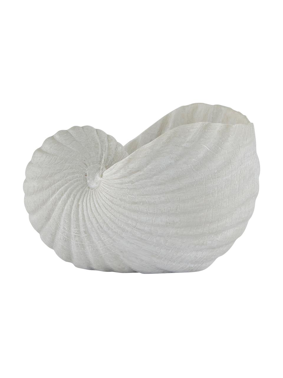 Kleines Deko-Objekt Serafina Shell, Kunststoff, Weiss, B 12 x H 8 cm