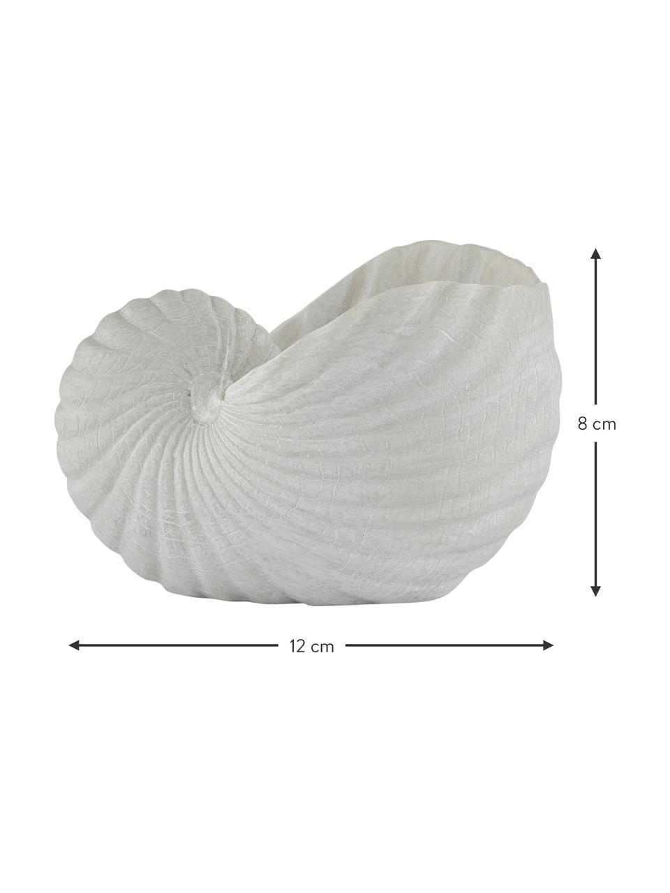 Pieza decorativa pequeña Serafina Shell, Plástico, Blanco, An 12 x Al 8 cm