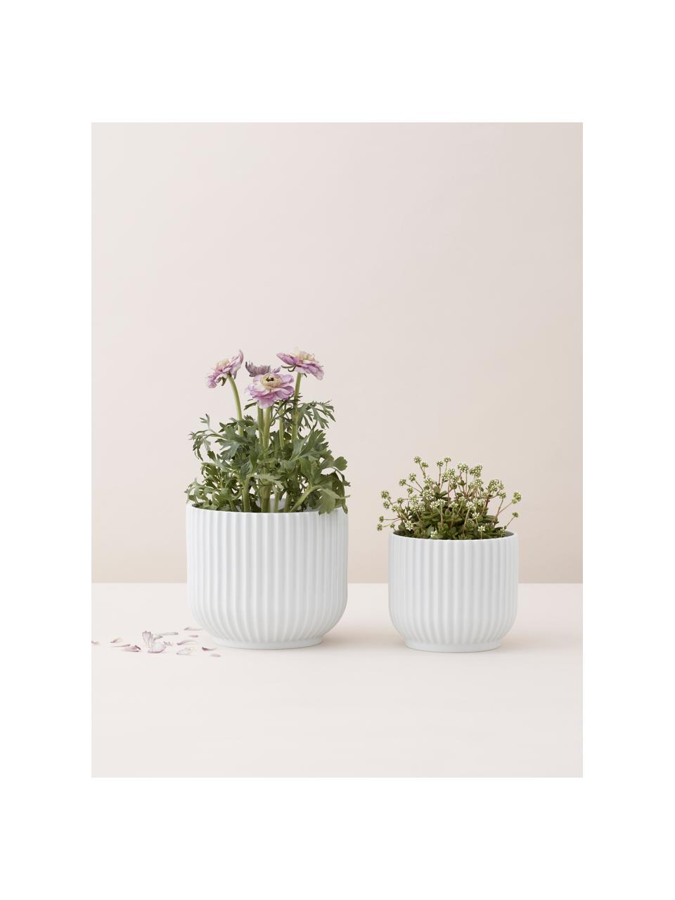 Macetero de porcelana Lyngby, 11 cm, Porcelana, Blanco, Ø 12 x Al 11 cm