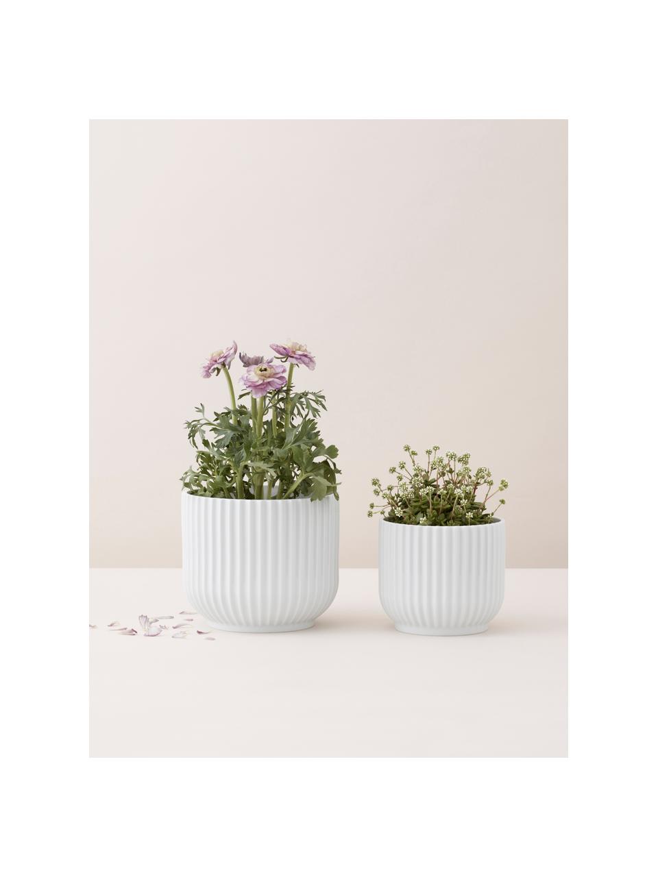 Cache-pot en porcelaine Lyngby, haut. 11 cm, Porcelaine, Blanc, Ø 12 x haut. 11 cm