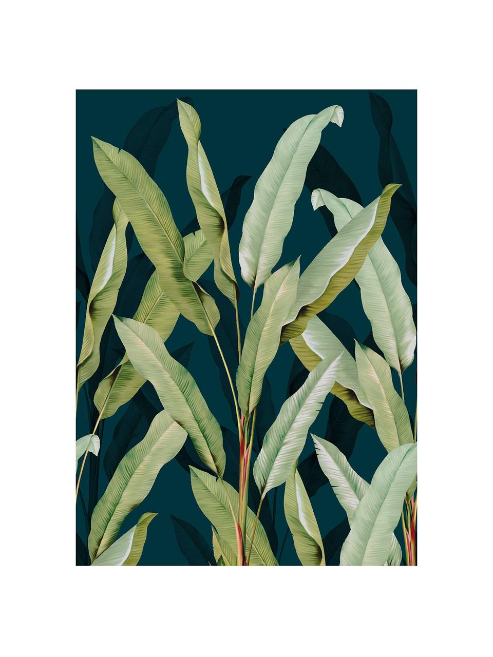 Papel pintado mural Olive Branch, Tejido no tejido, Azul, verde, An 200 x Al 280 cm
