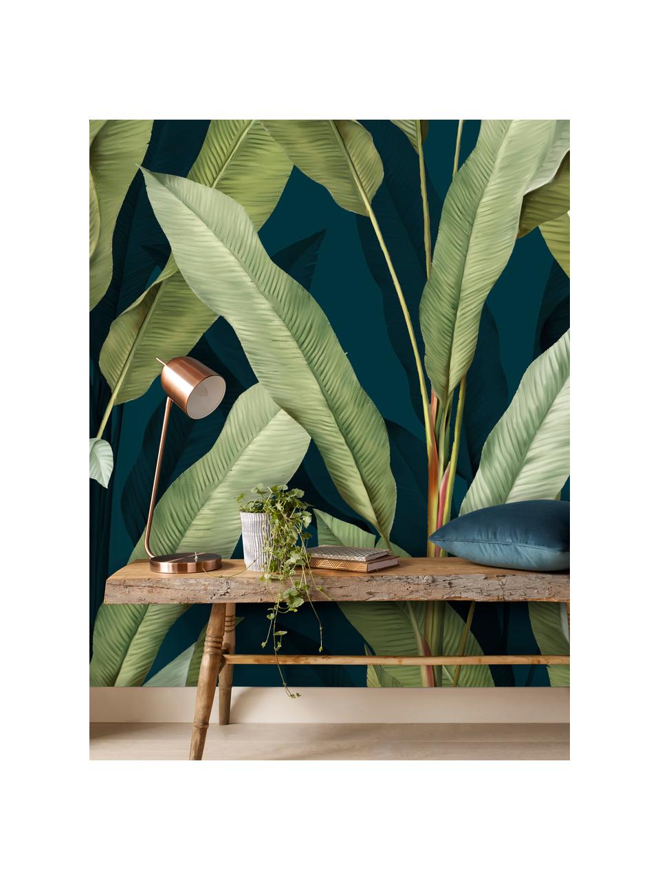 Fototapeta Olive Branch, Włóknina, Niebieski, zielony, S 200 x W 280 cm
