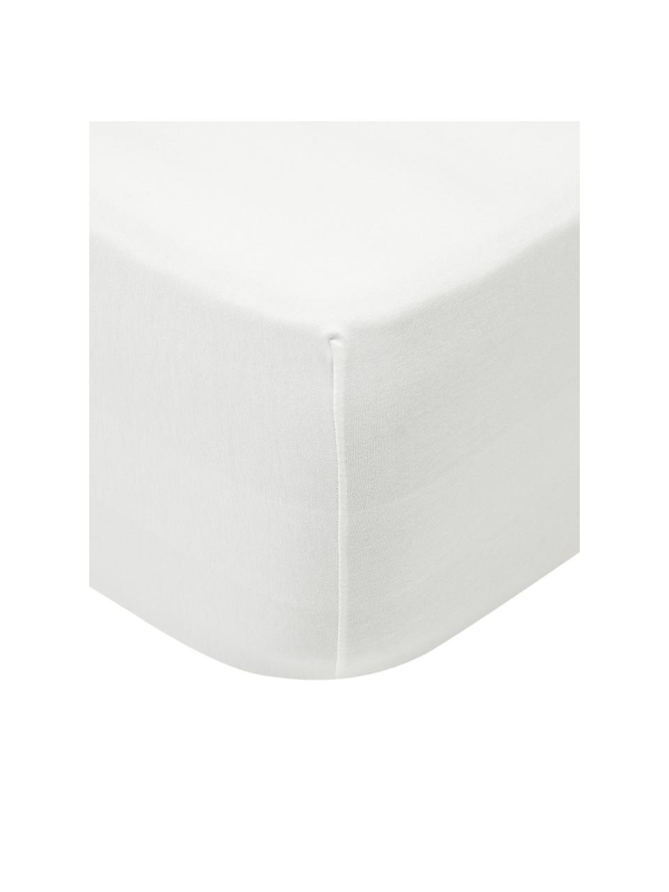 Lenzuolo con angoli boxspring in jersey-elastan Lara, 95% cotone, 5% elastan, Bianco crema, Larg. 90 x Lung. 200 cm, alt. 35 cm