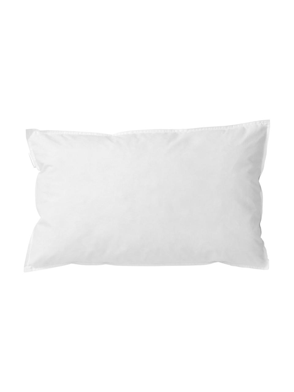 Garnissage de coussin 30x50 Natur, Blanc, larg. 30 x long. 50 cm