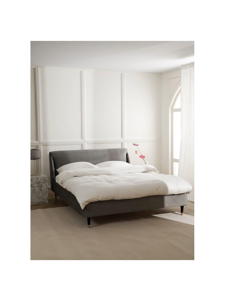 Letto imbottito in velluto grigio Nova, Rivestimento: 370 g/m² di velluto di po, Piedini: legno di albero della gom, Velluto grigio, 160 x 200 cm