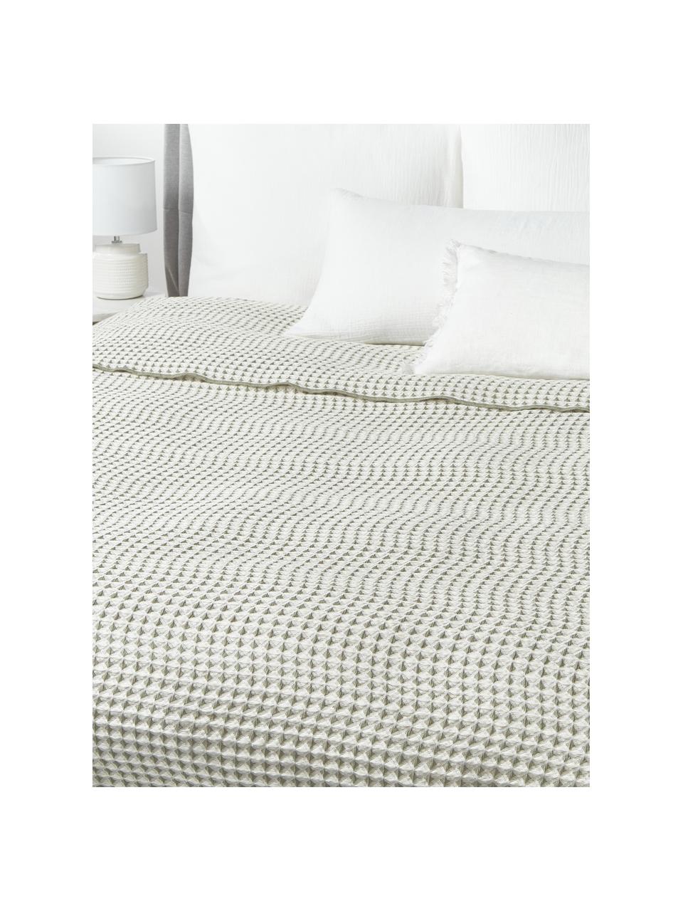 Colcha con estructura gofre Allie, 100% algodón

El material utilizado para este producto ha sido probado contra sustancias nocivas y está certificado según el STANDARD 100 por OEKO-TEX®, 6457CIT, CITEVE., Off White, verde oliva, An 230 x L 250 cm (para camas de 180 x 200 cm)