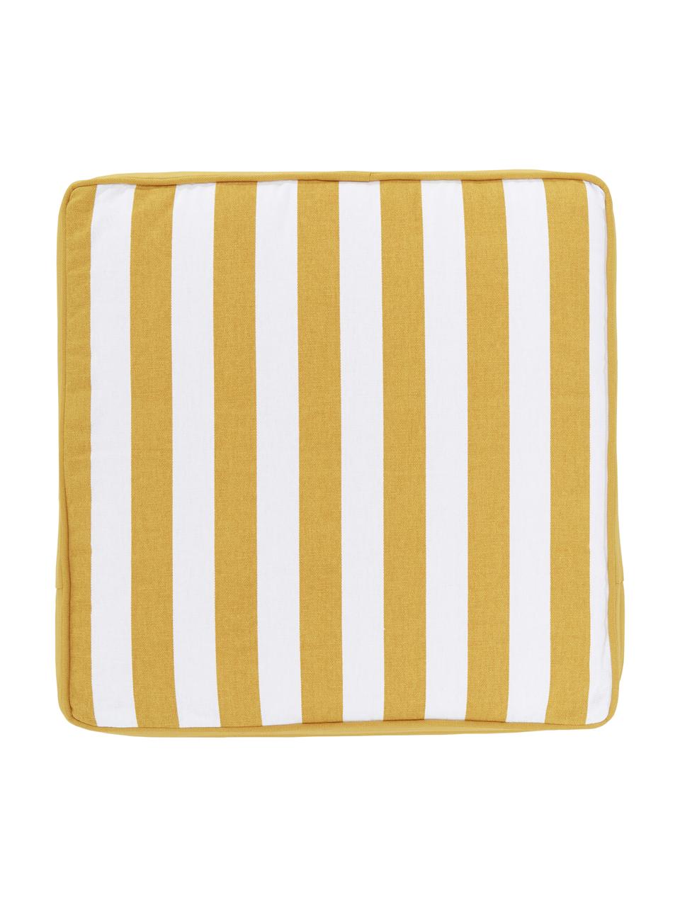 Cuscino sedia alto a righe color giallo/bianco Timon, Rivestimento: 100% cotone, Giallo & bianco, rigato, Larg. 40 x Lung. 40 cm