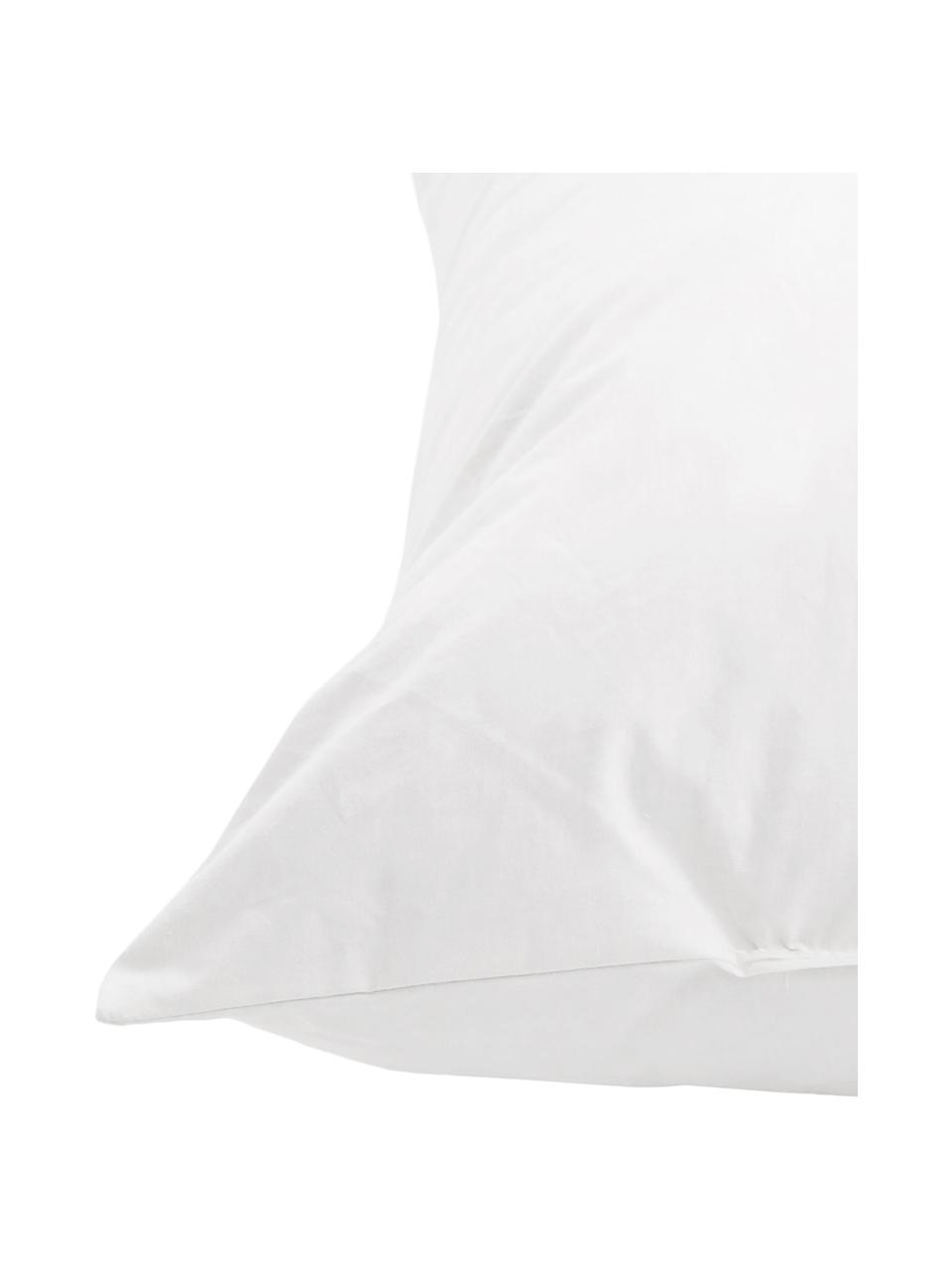 Garnissage de coussin duvet/plumes Premium, 40 x 40, Blanc