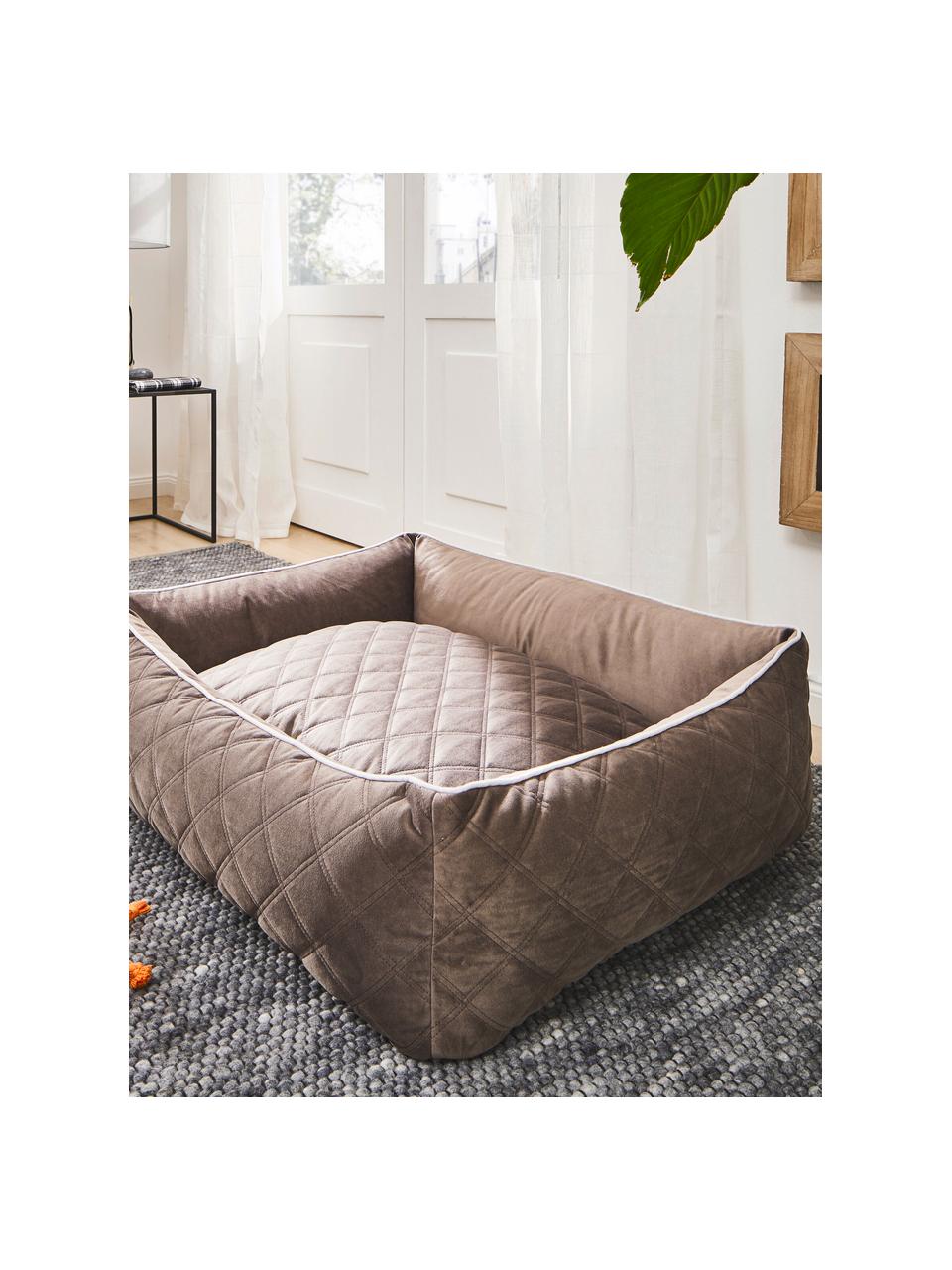 Samt-Hundebett Oxford, in verschiedenen Größen, Bezug: Samt (100 % Polyester), Taupe, Hellgrau, B 68 x T 55 cm