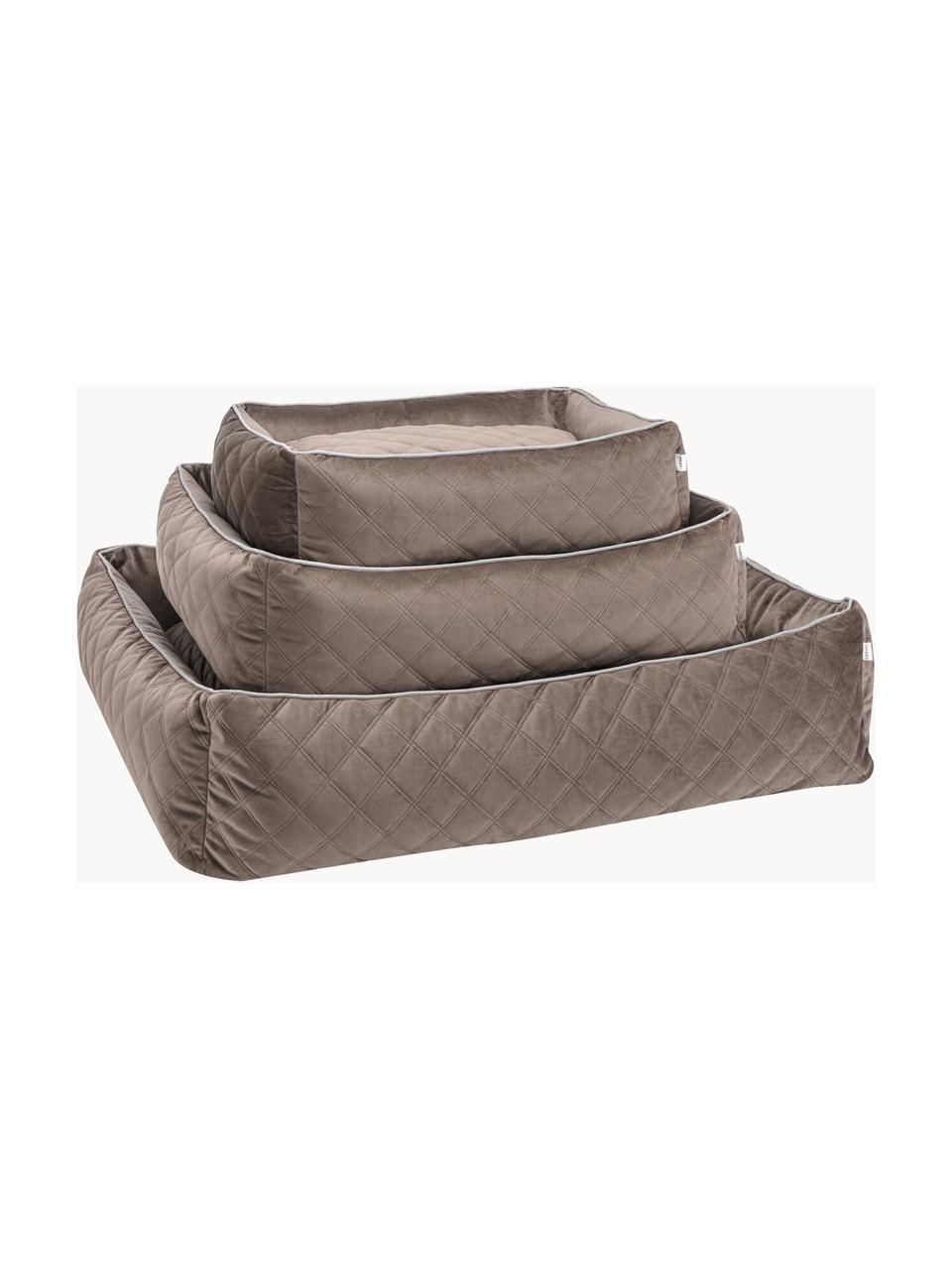 Panier en velours pour chiens Oxford, tailles variées, Taupe, gris clair, larg. 68 x prof. 55 cm