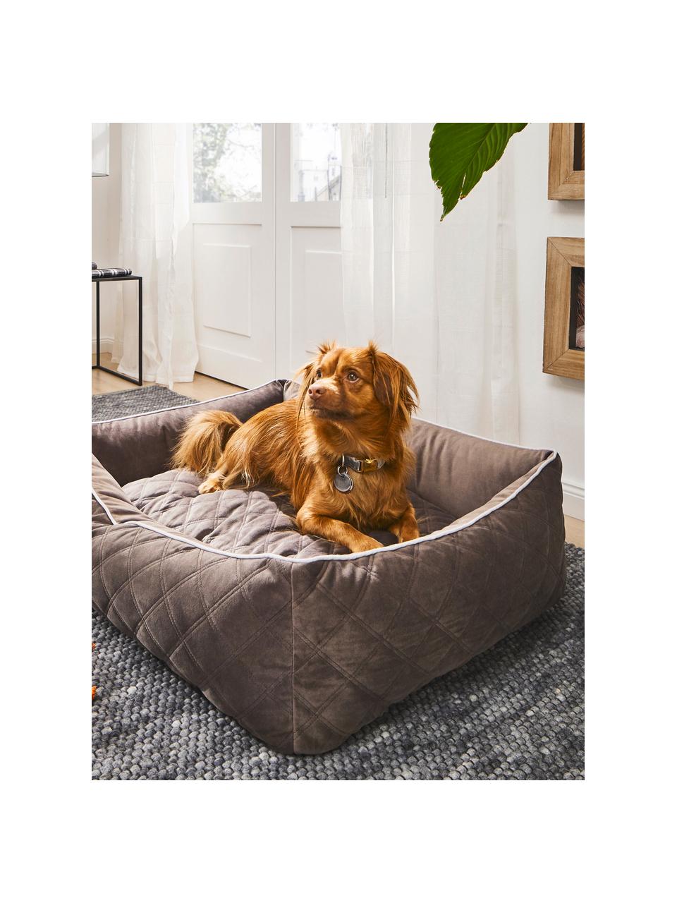 Samt-Hundebett Oxford, verschiedene Größen, Bezug: Samt (100 % Polyester), Taupe, Hellgrau, B 68 x T 55 cm