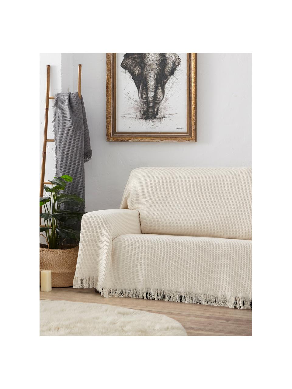 Wielofunkcyjna narzuta na sofę Amazons, 80% bawełna, 20% inne włókna, Odcienie kremowego, S 230 x D 260 cm