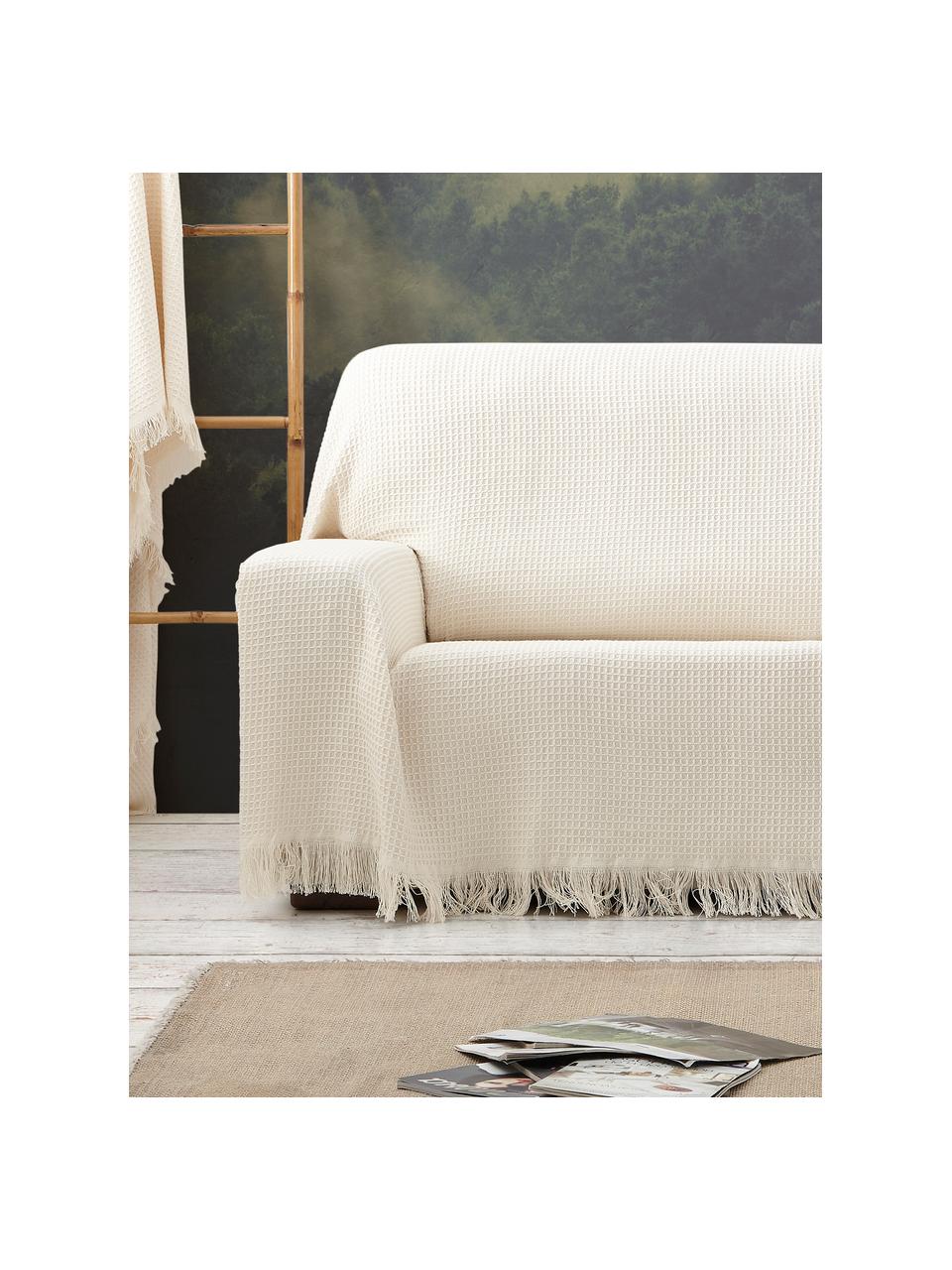 Wielofunkcyjna narzuta na sofę Amazons, 80% bawełna, 20% inne włókna, Odcienie kremowego, S 230 x D 260 cm