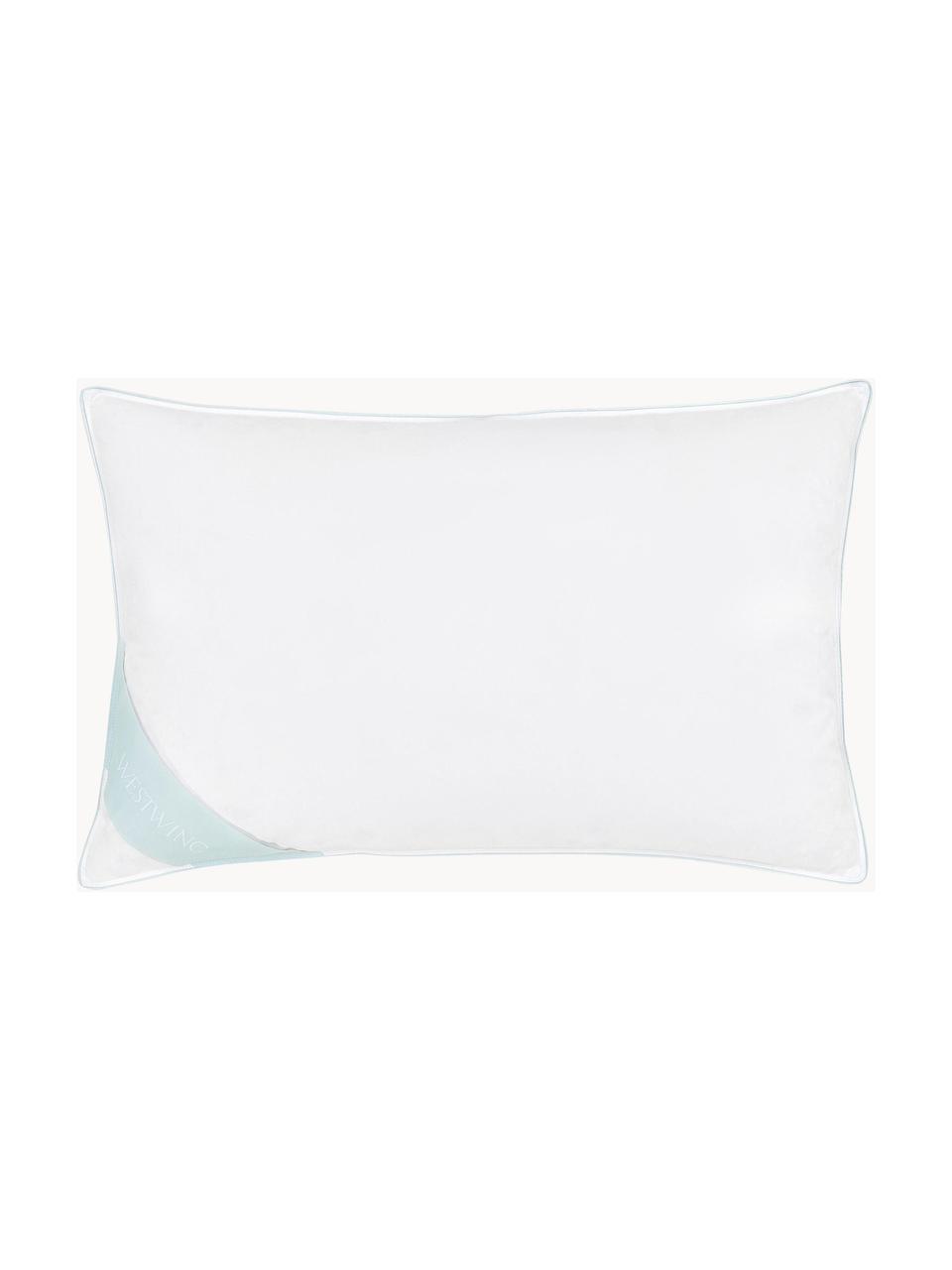 Cuscino in piuma Comfort, morbido, Bianco, Larg. 50 x Lung. 80 cm