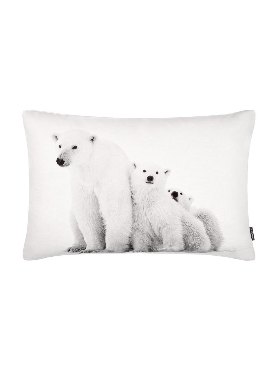 Federa con orsi polari Cool, Cotone, Bianco, tonalità grigie, Larg. 40 x Lung. 60 cm
