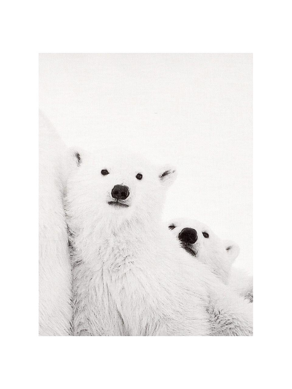 Federa con orsi polari Cool, Cotone, Bianco, tonalità grigie, Larg. 40 x Lung. 60 cm