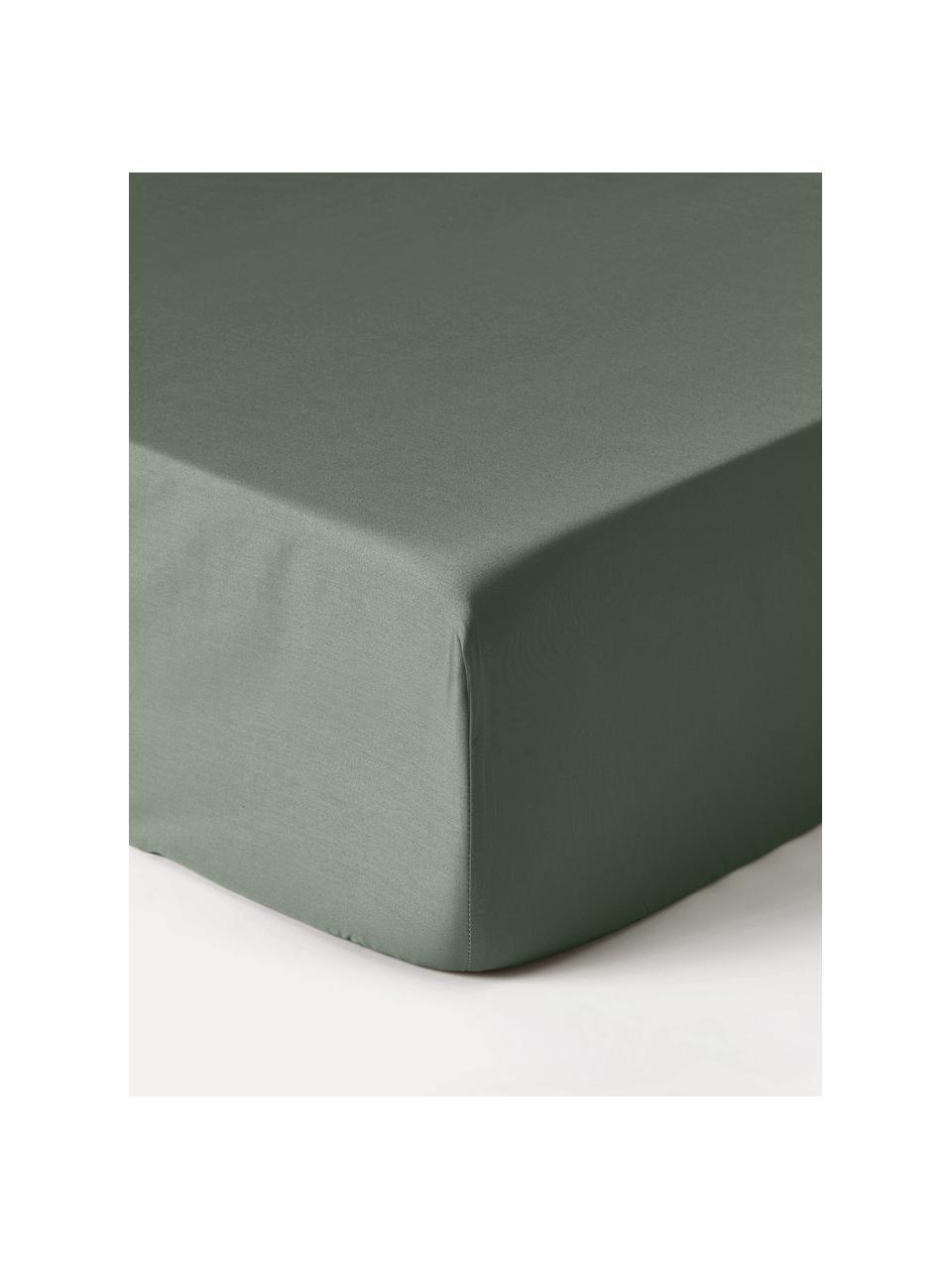 Lenzuolo con angoli in raso di cotone Premium, Verde scuro, Larg. 90 x Lung. 200 cm, Alt. 25 cm