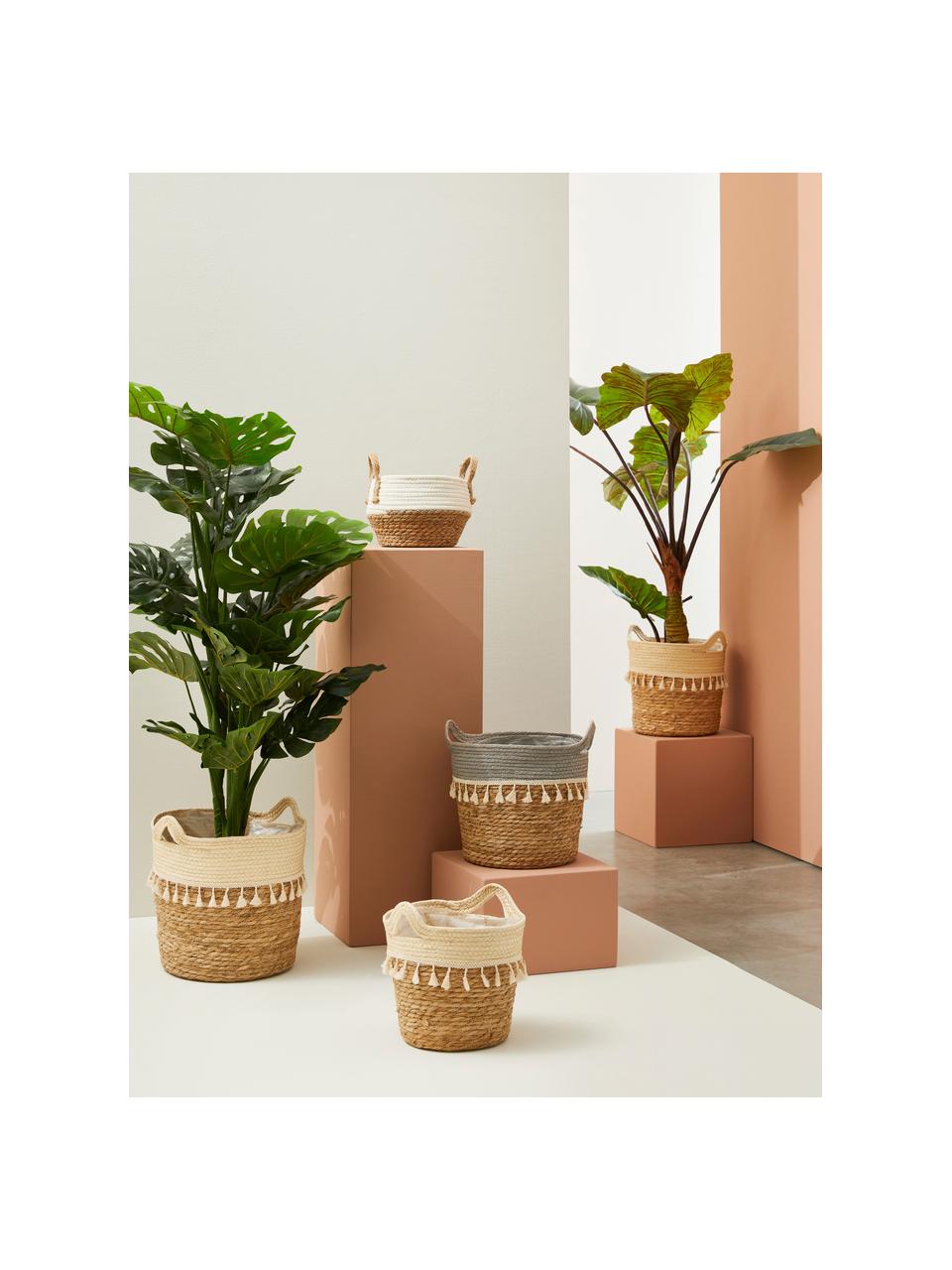 Cache-pots Bridget, 3 élém., 60 % jonc de mer, 40 % pâte à papier, Beige, blanc crème, Lot de différentes tailles