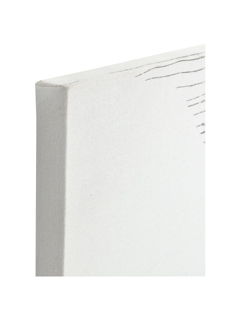 Leinwanddruck Prisma, Bild: Leinwand, Weiss, Schwarz, B 50 x H 50 cm