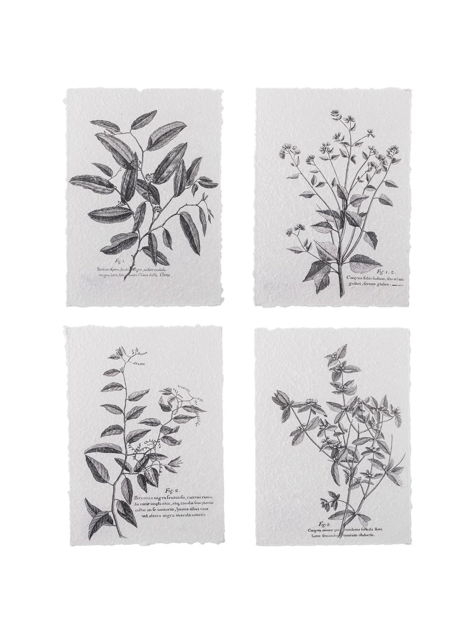 Ensemble d'affiches Fribo, 4 élém., Papier, Noir, blanc, larg. 26 x haut. 35cm