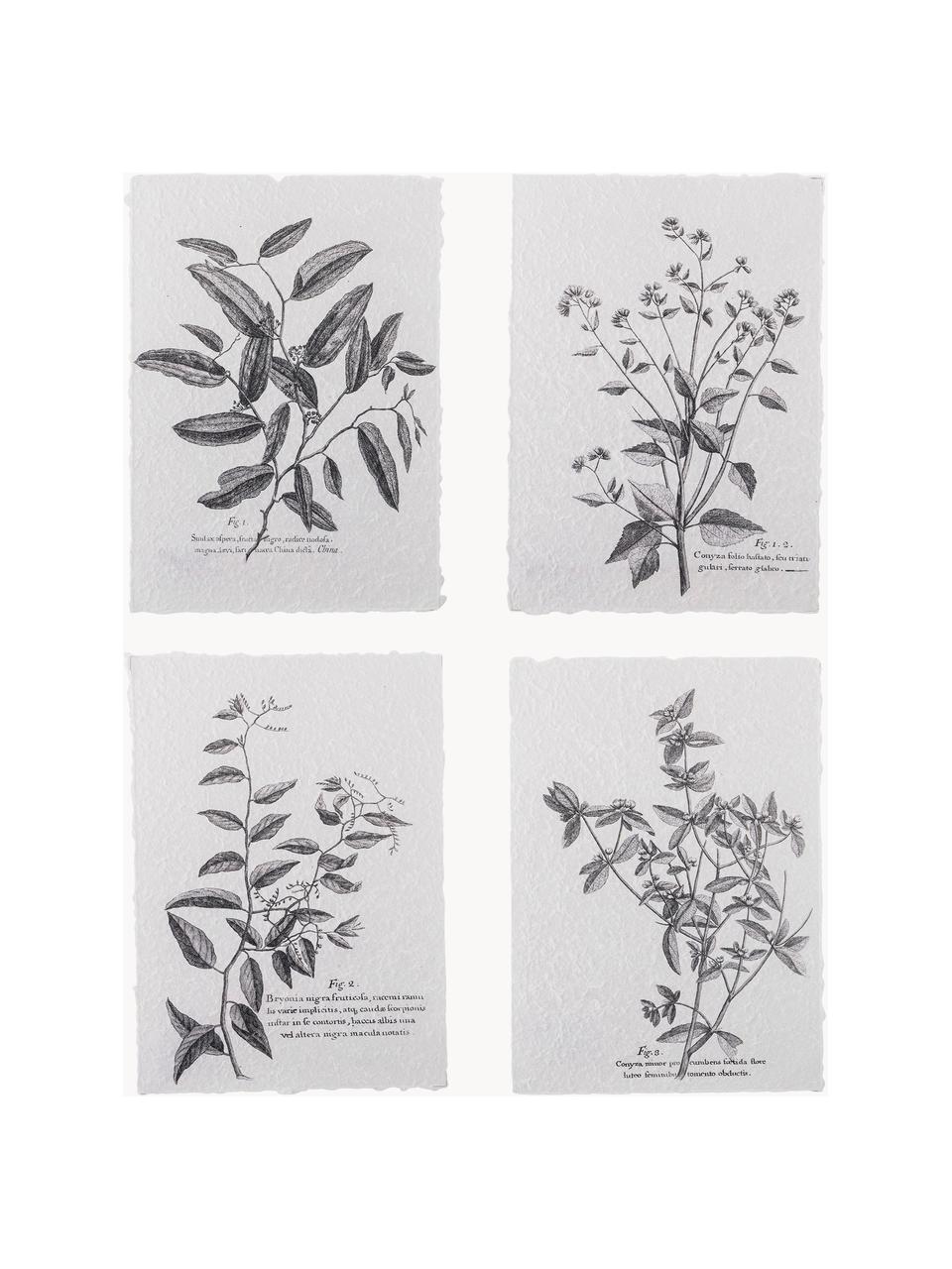 Set di 4 poster Fribo, Carta, Nero, bianco, Larg. 26 x Alt. 35 cm