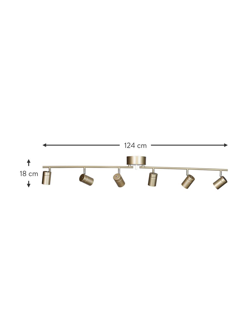 Faretti da soffitto grandi Correct, Dorato, Larg. 124 x Alt. 18 cm