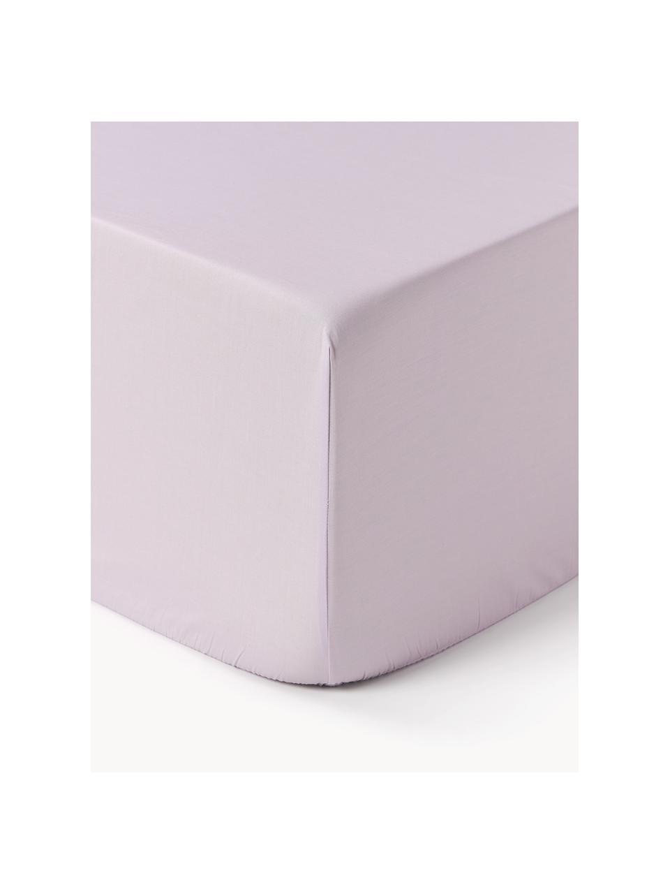 Boxspring hoeslaken Elsie, katoen perkal, Weeftechniek: perkal, Lavendel, B 90 x L 200 cm, H 35 cm