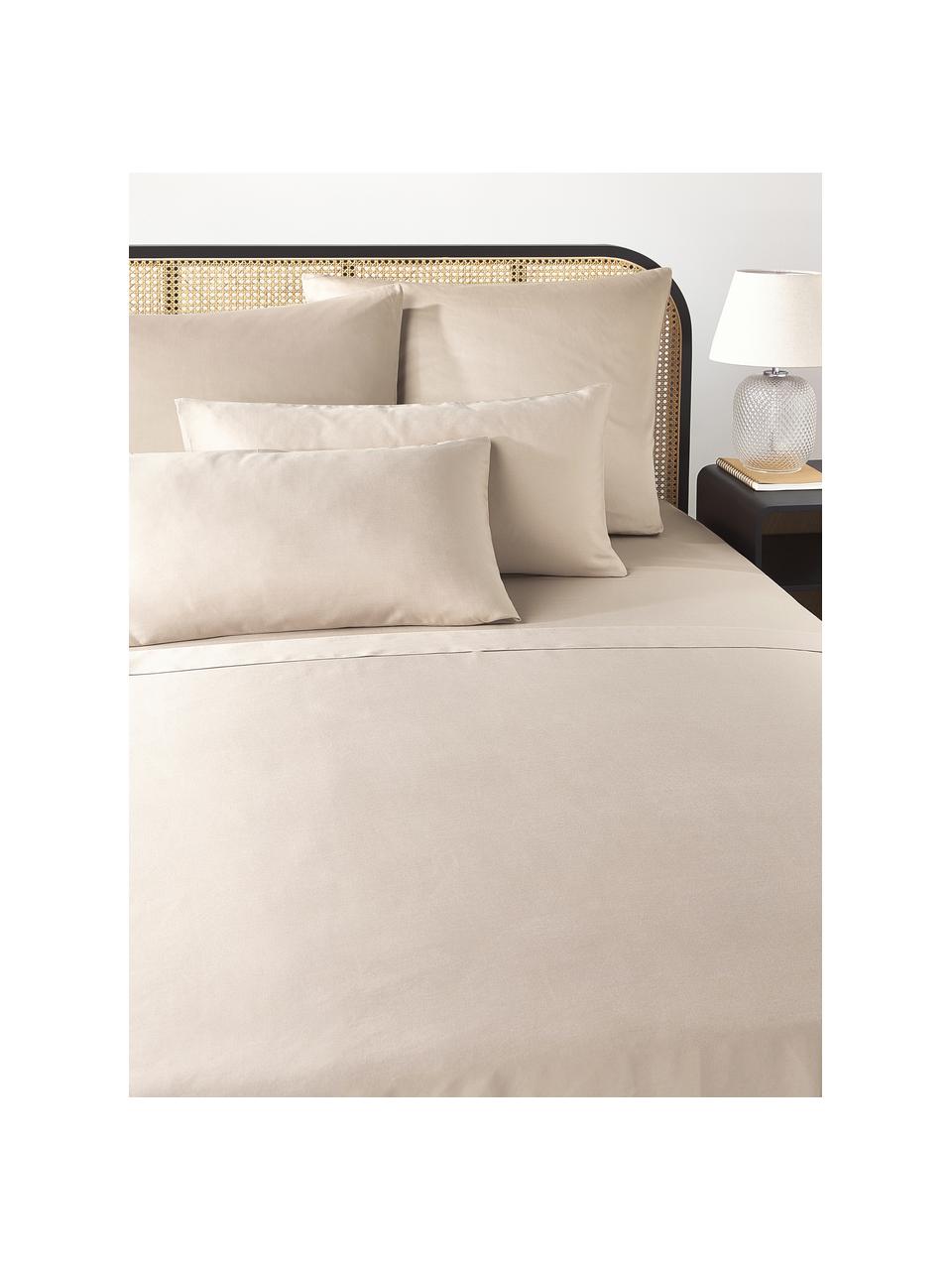 Katoensatijnen laken Comfort, Weeftechniek: satijn Draaddichtheid 250, Lichtbeige, B 240 x L 280 cm