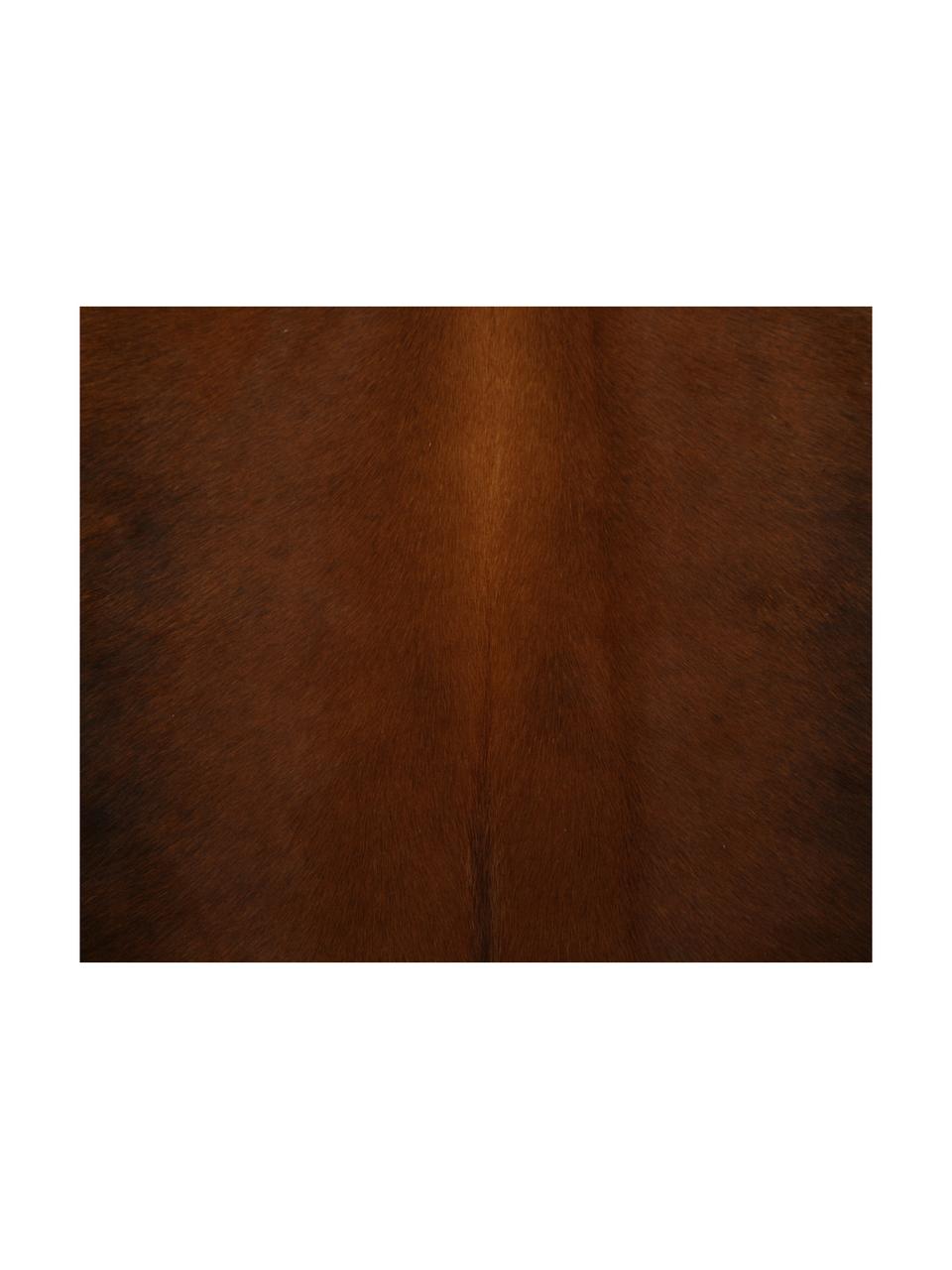 Koeienhuid vloerkleed Aquarius, Koeienhuid, Zwartbruin, Unieke koeienhuid 940, 160 x 180 cm