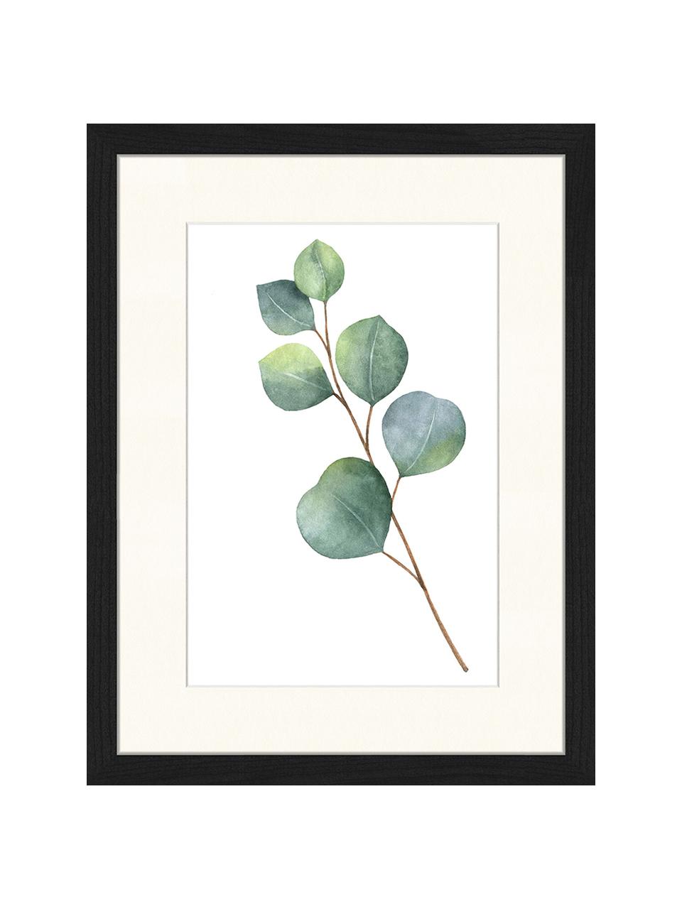 Ingelijste digitale print Eucalyptus II, Afbeelding: digitale print op papier,, Lijst: gelakt hout, Afbeelding: groen, wit. Lijst: zwart, B 33 x H 43 cm