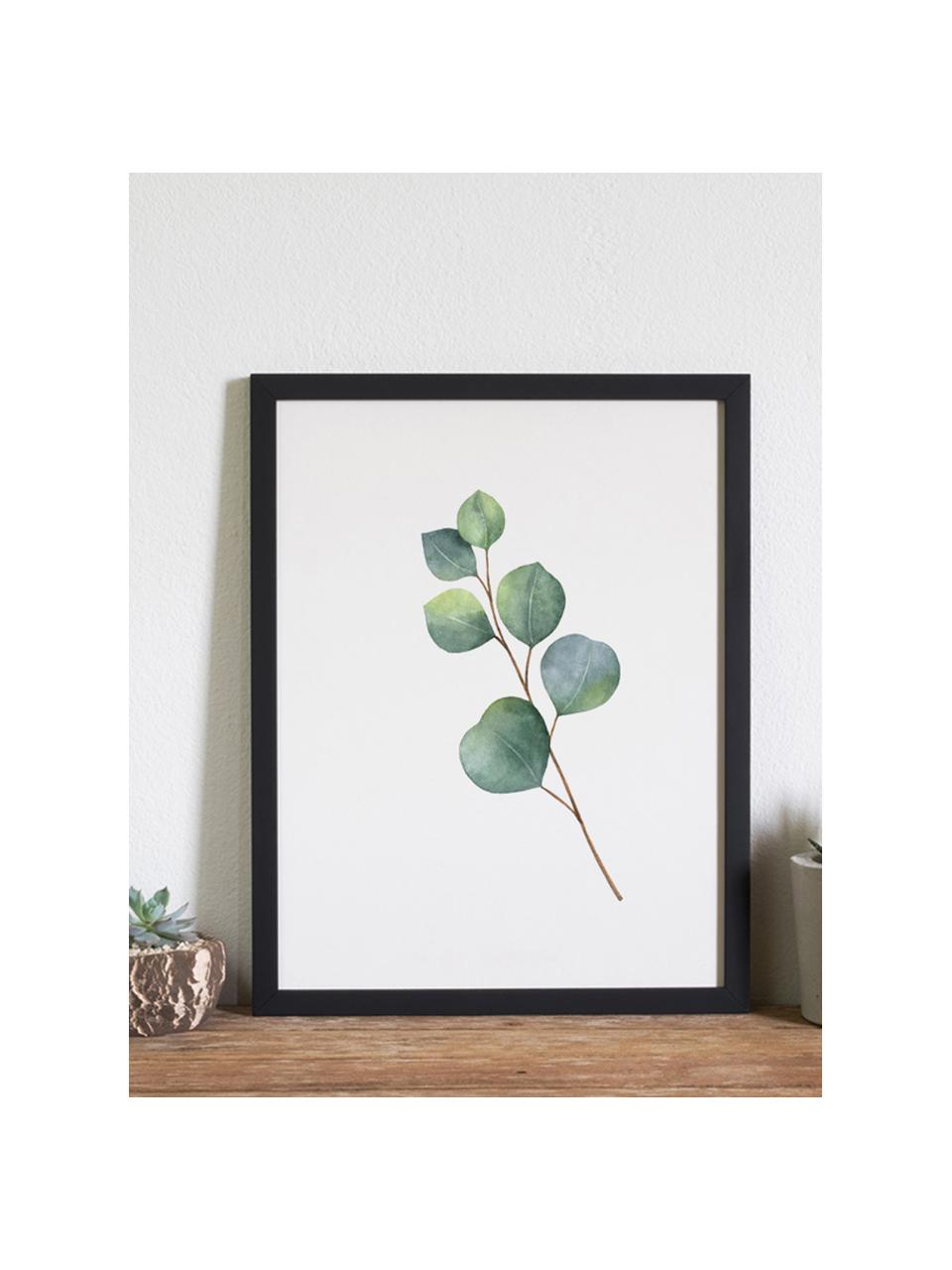 Ingelijste digitale print Eucalyptus II, Afbeelding: digitale print op papier,, Lijst: gelakt hout, Groen, wit, zwart, B 33 x H 43 cm