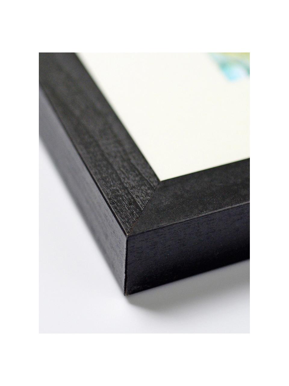 Gerahmter Digitaldruck Eucalyptus II, Bild: Digitaldruck auf Papier, , Rahmen: Holz, lackiert, Front: Plexiglas, Grün, Weiß, Schwarz, B 33 x H 43 cm
